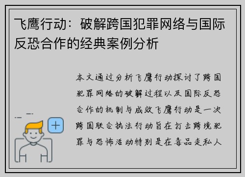 飞鹰行动：破解跨国犯罪网络与国际反恐合作的经典案例分析
